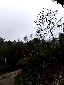 Snapshot of lovely-742 chatting on March 2026 01:54:02 AM lovely-742 online show from March 2026 01:54:02 AM