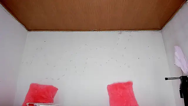 karol kane online show from February 2026 03:19:01 PM