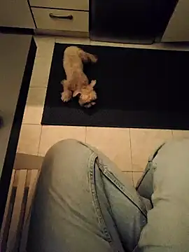 Snapshot of Ginevra01 chatting on March 2026 08:24:02 PM Ginevra01 online show from March 2026 08:24:02 PM