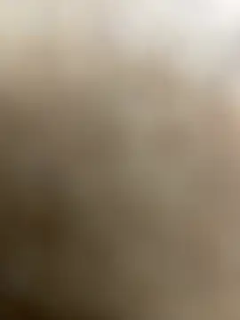 Snapshot of lopes22246 chatting on February 2026 11:23:01 PM lopes22246 online show from February 2026 11:23:01 PM