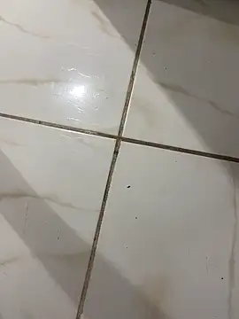 Snapshot of lopes22246 chatting on February 2026 12:06:01 AM lopes22246 online show from February 2026 12:06:01 AM