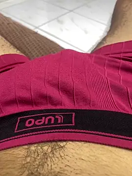 Snapshot of lopes22246 chatting on April 2026 01:38:02 AM lopes22246 online show from April 2026 01:38:02 AM