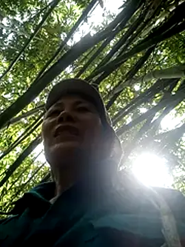 toyo 668 online show from June 2026 07:29:02 AM