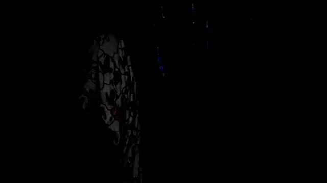 SassyXindian online show from April 2026 05:17:02 PM