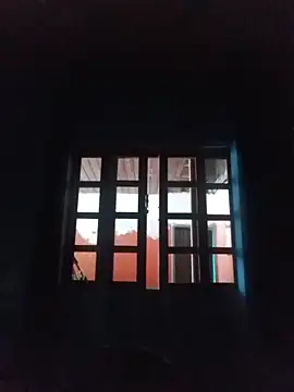 Snapshot of vinicius_ribas chatting on February 2026 03:09:02 PM vinicius ribas online show from February 2026 03:09:02 PM