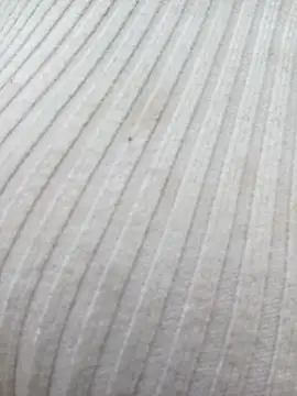 chaoanh11 online show from February 2026 09:08:02 AM