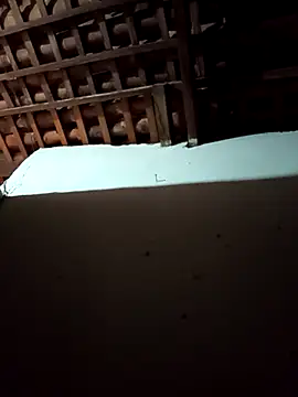 Snapshot of mykasantos20 chatting on February 2026 04:53:02 AM mykasantos20 online show from February 2026 04:53:02 AM