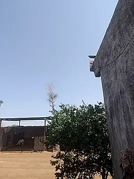 taniya0 online show from April 2026 04:14:02 AM