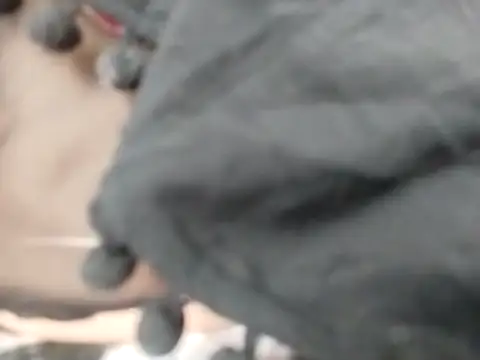 VeraVS online show from February 2026 09:21:02 AM