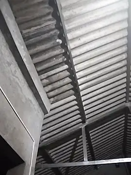 Baby flower 1 online show from March 2026 05:00:02 AM