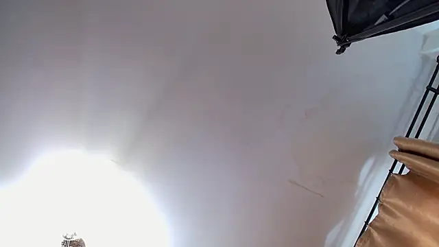 VioletVIP online show from March 2026 12:33:01 PM