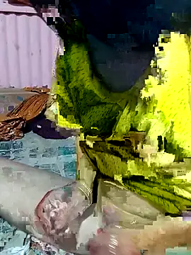 Snapshot of mimpake chatting on April 2026 10:24:02 AM mimpake online show from April 2026 10:24:02 AM