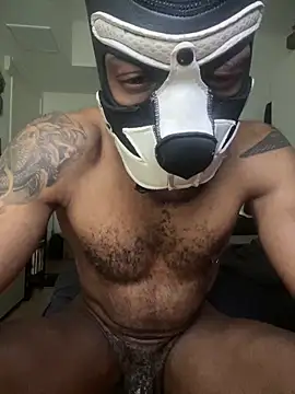 Snapshot of Kingbroxxx chatting on April 2026 01:16:02 AM Kingbroxxx online show from April 2026 01:16:02 AM