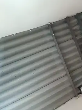 Little-Pussy19 online show from February 2026 03:43:01 PM