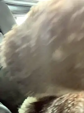 Snapshot of Emily-Fire chatting on March 2026 07:21:02 PM Emily-Fire online show from March 2026 07:21:02 PM