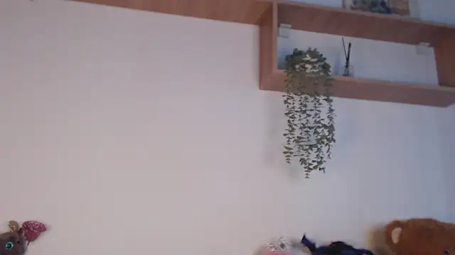 SPICYKC online show from April 2026 03:01:02 PM