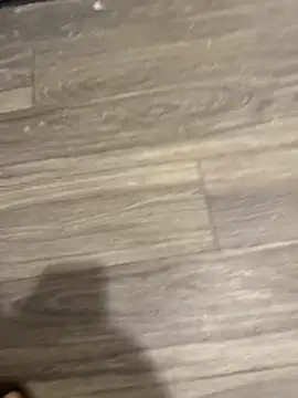 SavorredEscapist online show from February 2026 06:45:02 AM