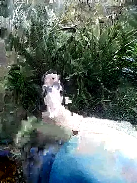 mar coral2 online show from July 2026 01:37:01 PM