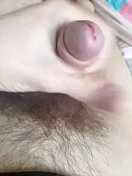 Snapshot of Sahavv3 chatting on February 2026 11:33:01 AM Sahavv3 online show from February 2026 11:33:01 AM