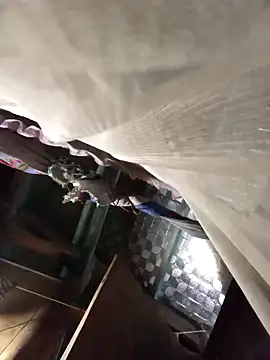 Snapshot of Big-all012 chatting on February 2026 09:50:02 AM Big-all012 online show from February 2026 09:50:02 AM