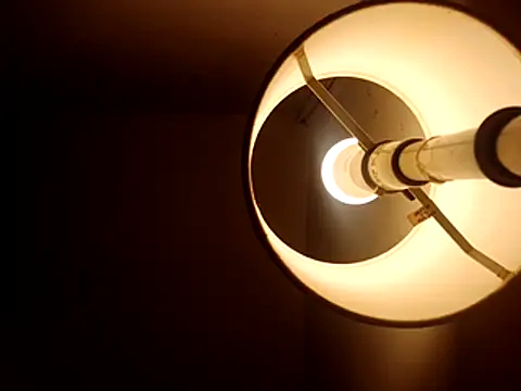 stud2512 online show from April 2026 08:29:02 PM