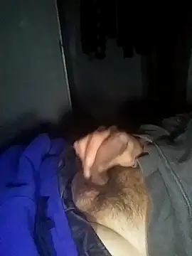 Snapshot of Pnut420 chatting on March 2026 03:23:01 AM Pnut420 online show from March 2026 03:23:01 AM