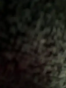 Snapshot of jesus-31 chatting on April 2026 12:41:02 AM jesus-31 online show from April 2026 12:41:02 AM