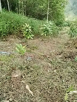 Snapshot of 01_ANNA_01 chatting on March 2026 09:32:02 AM 01 ANNA 01 online show from March 2026 09:32:02 AM