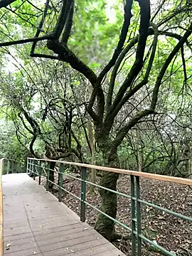 Snapshot of The_Conquer chatting on April 2026 06:34:01 PM The Conquer online show from April 2026 06:34:01 PM