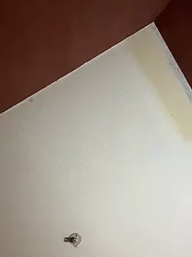 MoonGoddess424 online show from February 2026 04:10:02 AM