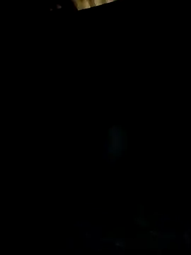 pic8800 online show from April 2026 09:34:02 AM