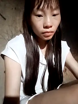 pic8800 online show from May 2026 12:27:02 AM
