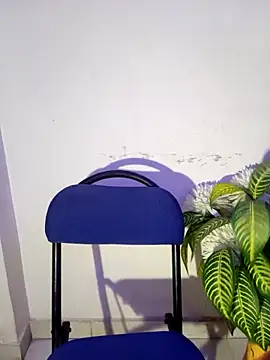 Sexy aakansha online show from March 2026 05:46:02 AM