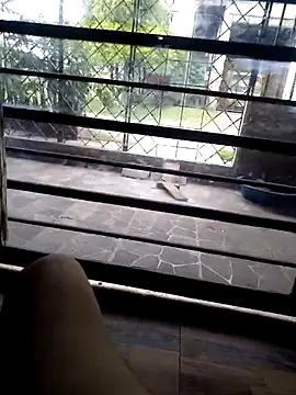 stivengaviria online show from March 2026 01:40:02 PM