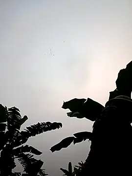 Snapshot of JenyLy68 chatting on March 2026 12:27:01 AM JenyLy68 online show from March 2026 12:27:01 AM