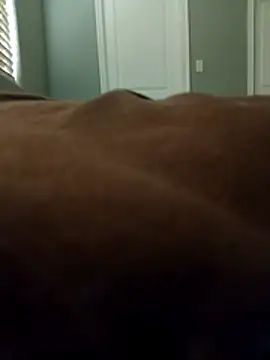 Snapshot of lilbbcxoxo chatting on February 2026 04:18:01 PM lilbbcxoxo online show from February 2026 04:18:01 PM