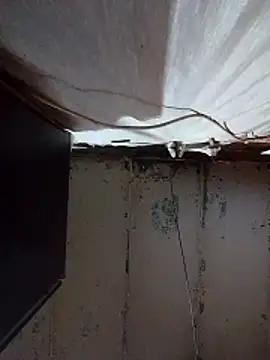 Snapshot of Mashaps2384 chatting on March 2026 08:43:02 AM Mashaps2384 online show from March 2026 08:43:02 AM