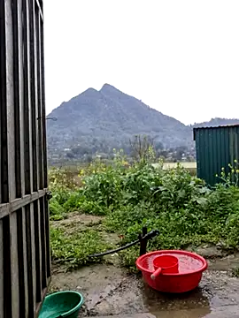 phay79 online show from March 2026 12:04:02 AM