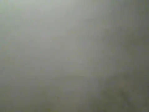 Snapshot of Foxboy65 chatting on July 2026 05:31:01 PM Foxboy65 online show from July 2026 05:31:01 PM