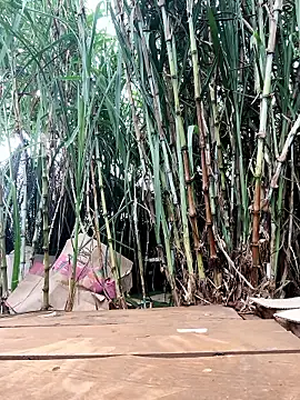 Tini-mimi online show from April 2026 12:45:02 AM