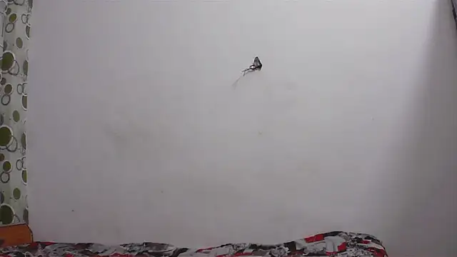 hard to do   online show from April 2026 05:17:01 PM