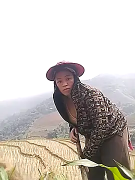 Min-in online show from April 2026 02:38:02 AM