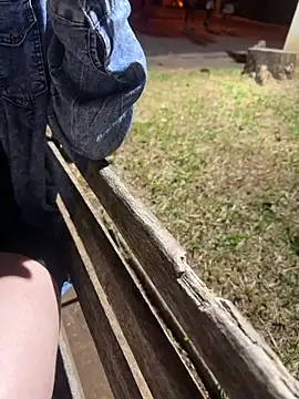 ksal vod-e-ka online show from April 2026 01:41:02 AM