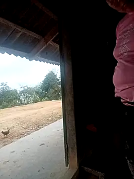 kalara kail online show from March 2026 11:05:01 PM