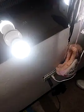 dantegomes online show from April 2026 11:06:01 PM