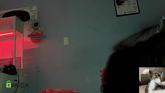 NatryDark online show from May 2026 04:42:02 AM