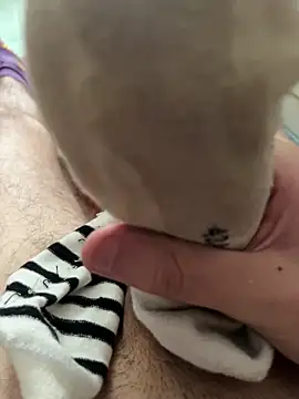 Principe0023 online show from March 2026 02:54:01 PM