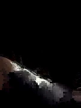 WitheredDivisor online show from July 2026 01:52:02 AM