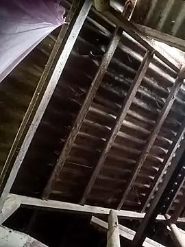 Nthk6 online show from March 2026 06:05:02 AM