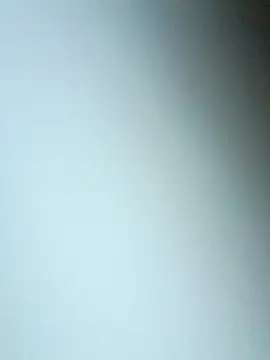 Snapshot of bojo888 chatting on March 2026 09:08:01 PM bojo888 online show from March 2026 09:08:01 PM